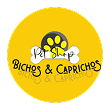 Bichos e Caprichos
