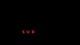 Cofre Subastor Cofre Subastor